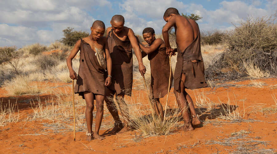 San Bushmen