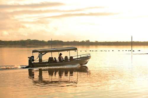 Selous Game reserve roho 500x333 1