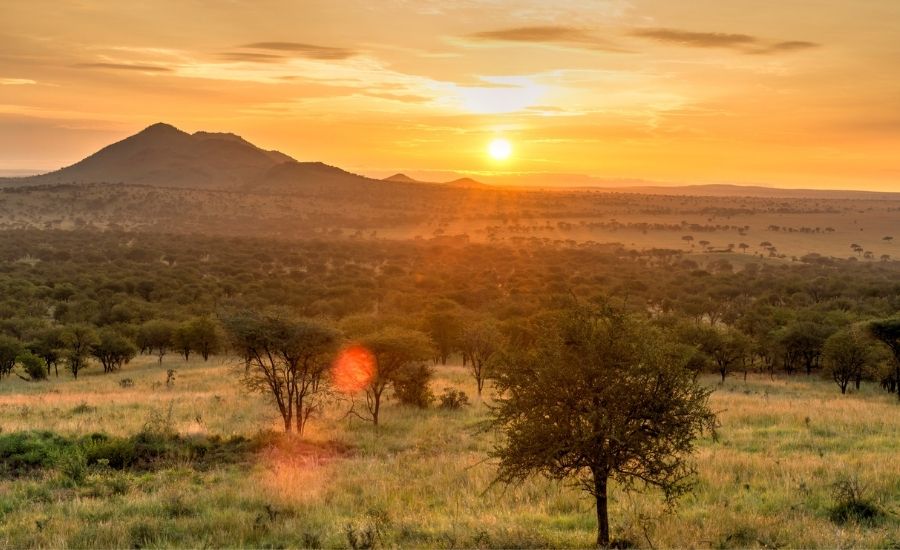 Serengeti Tanzania 3