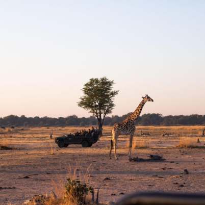 South Luangwa NP3