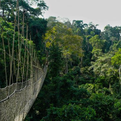 Taman Negara, Malaysia