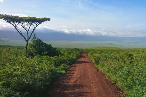 The Ngorongoro Crater Tanzania 500x333 1