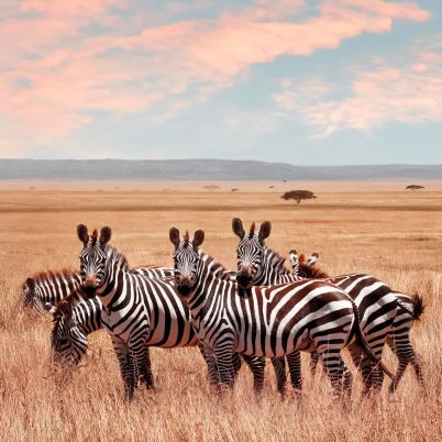 Serengeti National Park