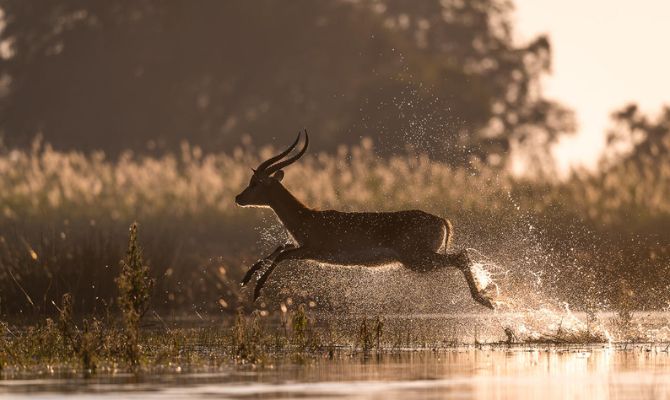 Botswana