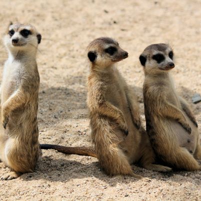 Makgadikgadi Pans National Park