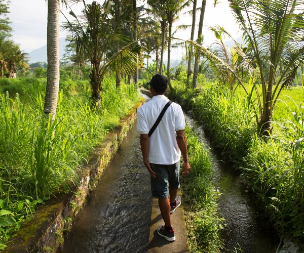 Villager walking through fields Sidemen