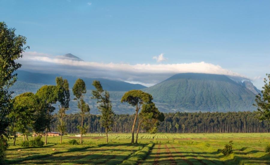 Virunga volcanoes in Rwanda