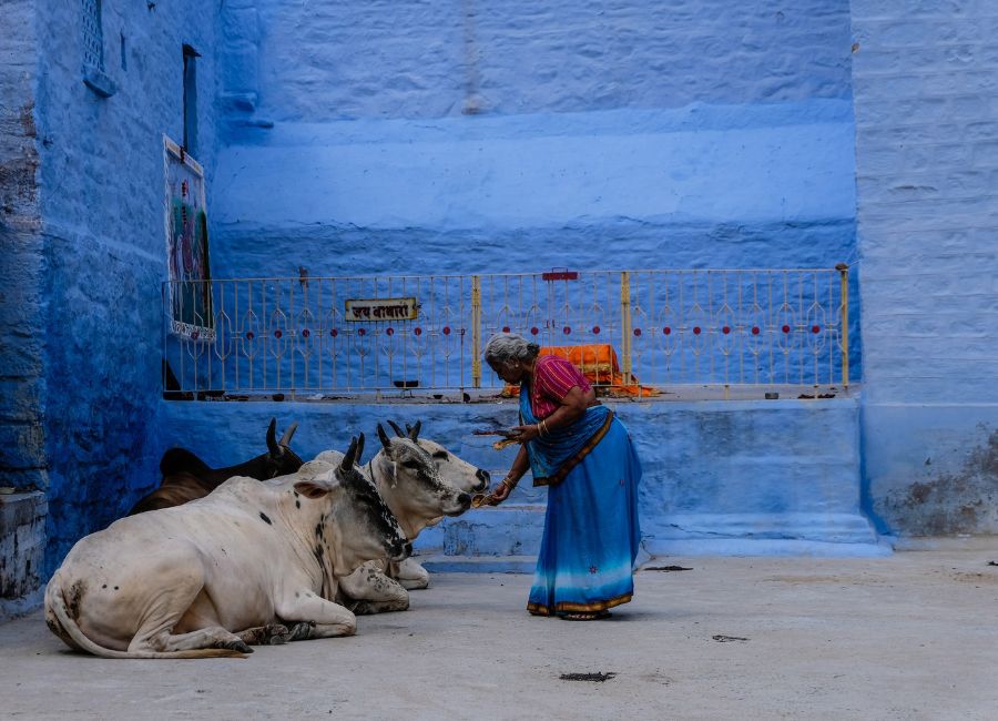 Woman in Jodhpur, Rajasthan, India